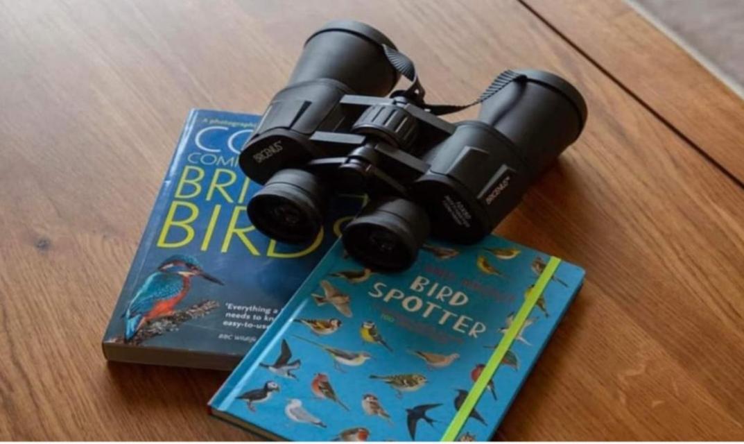 The Gull & Puffin Cresswell Villa Cresswell  Luaran gambar